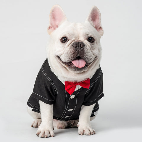 Pet supplies cat dog clothes